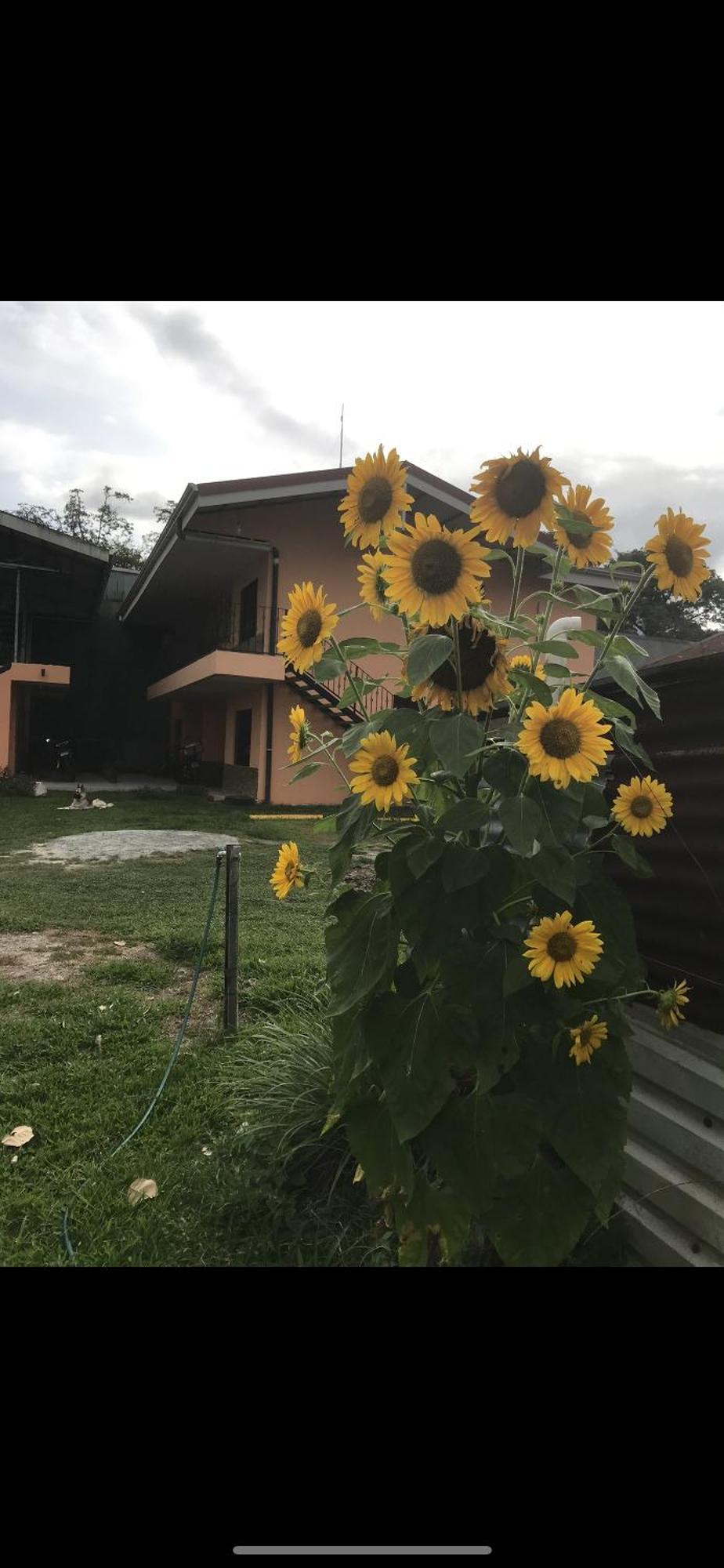Sky Hostel La Fortuna Екстер'єр фото